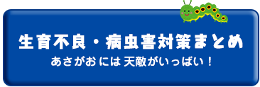 生育不良・病虫害対策まとめはこちら