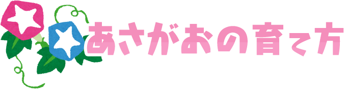 あさがおの育て方