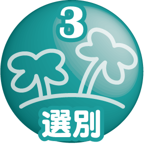 工程3：選別