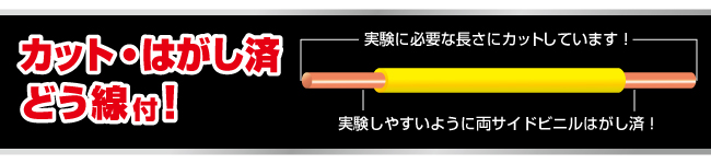 カット・はがし済み導線付！