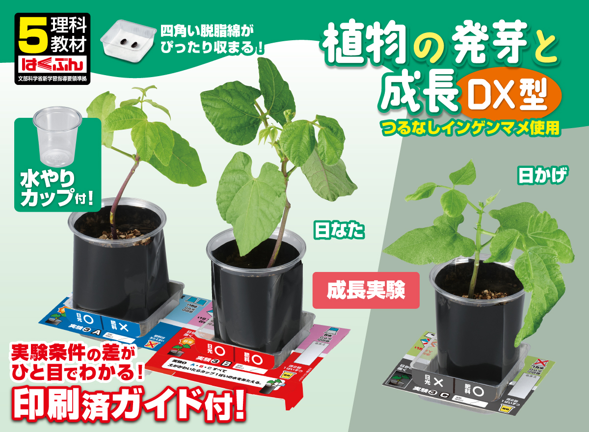 教材「植物の発芽と成長〔DX型〕」のサムネイル